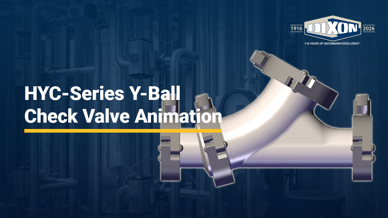 HYC-Series Y-Ball Check Valve Animation