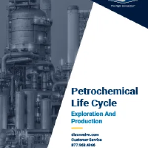 Petrochemical Life Cycle Exploration And Production