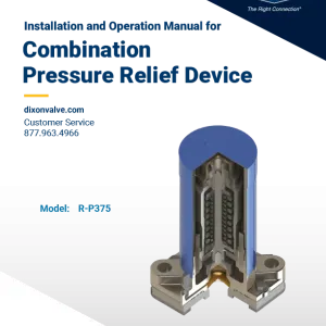 Combination Pressure Relief Device