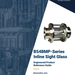 B54BMP-Series Inline Sight Glass