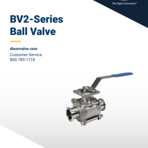 BV2-Series Encapsulated Sanitary Ball Valve | Dixon