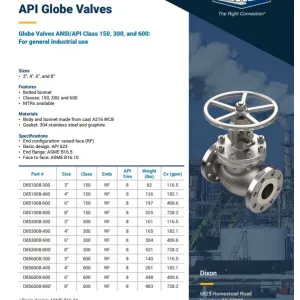 Cast Steel API Globe Valves