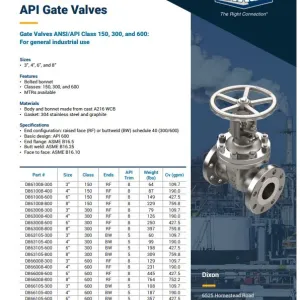 Cast Steel API Gate Valves