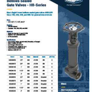 H8 Series Bellows Seal Valves
