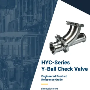 HYC-Series Y-Ball Check Valve