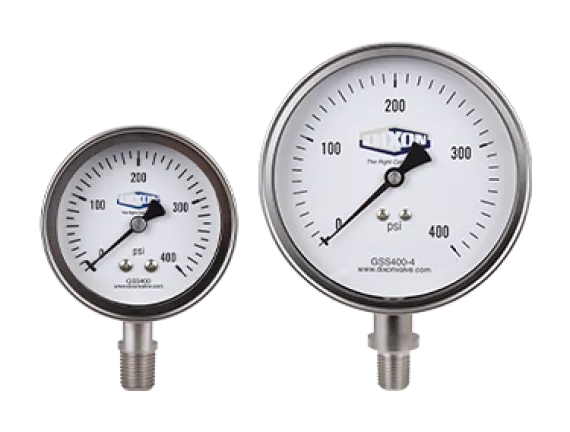 Stainless Steel Dry Lower Mount Gauge