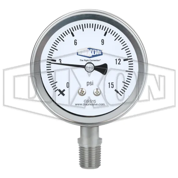 Stainless Steel Dry Lower Mount Gauge