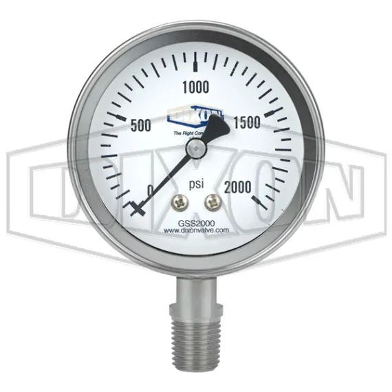 Stainless Steel Dry Lower Mount Gauge