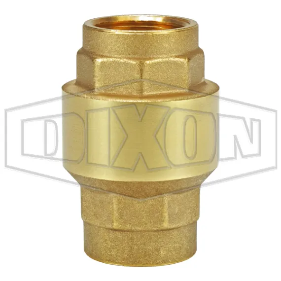 Spring-Loaded Check Valve