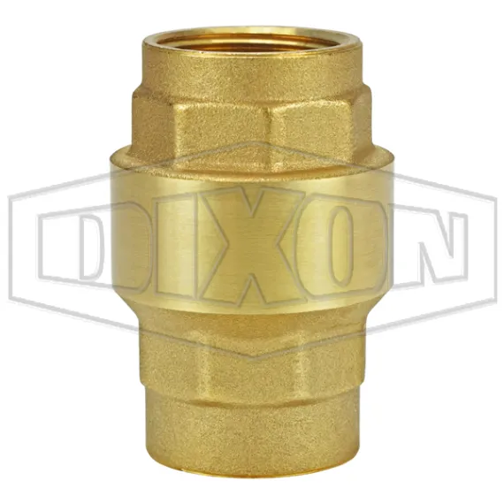 Spring-Loaded Check Valve