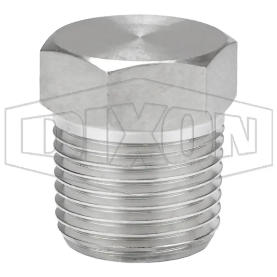 Hex Head Plug