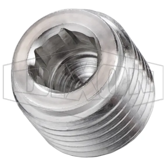 Hex Socket Plug