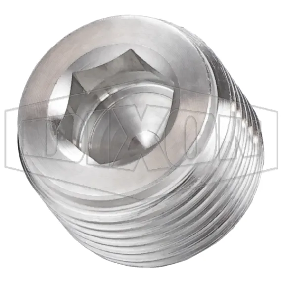 Hex Socket Plug