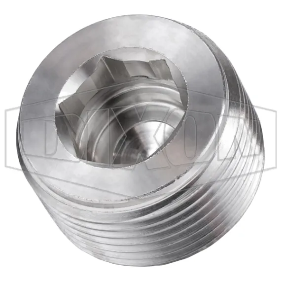 Hex Socket Plug