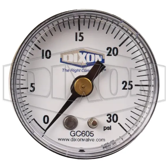 abs-standard-dry-center-back-mount-gauge_gc605_color_lg_watermarked.jpg