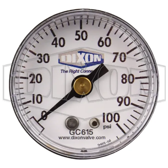 abs-standard-dry-center-back-mount-gauge_gc615_color_lg_watermarked.jpg