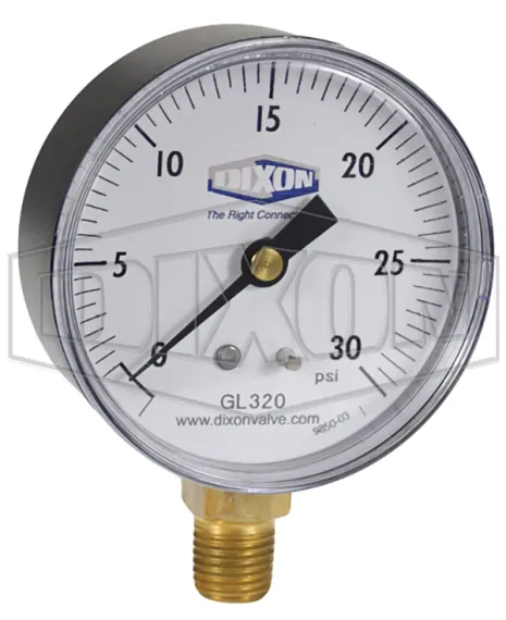 ABS Standard Dry Lower Mount Gauge