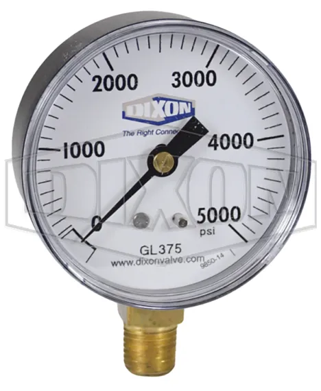 ABS Standard Dry Lower Mount Gauge