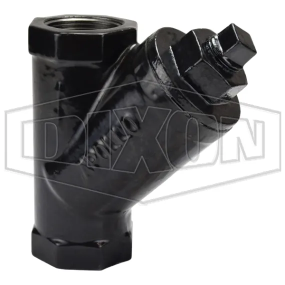 Cast Iron Y Line Strainer