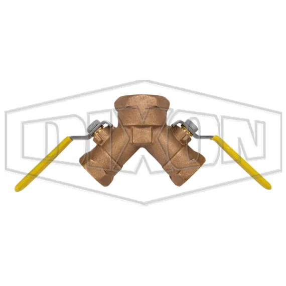 Dual Y Valve