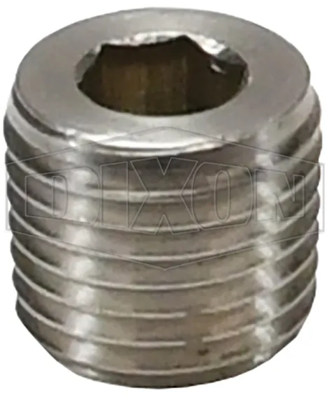 Hex Socket Plug SS