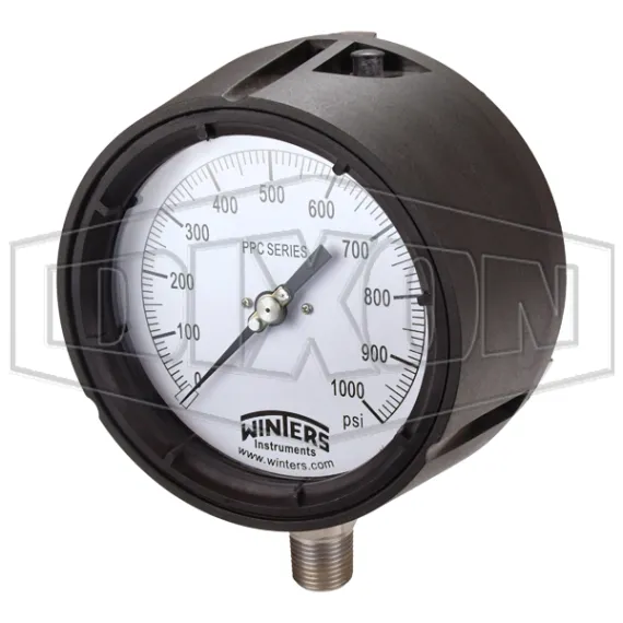 process-gauge_pgs1000_color_lg_watermarked.jpg