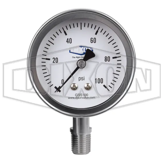 stainless-steel-dry-lower-mount-gauge_gss100_color_lg_watermarked.jpg