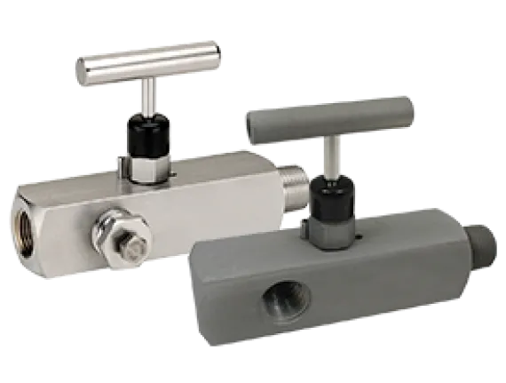 Multiport Needle Valve