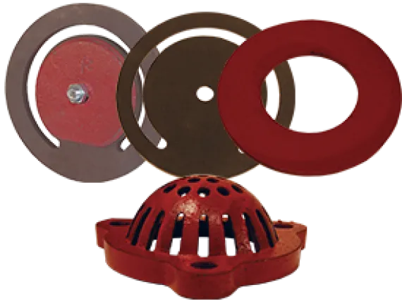 Replacement Parts for Cast Iron Threaded Foot Valve