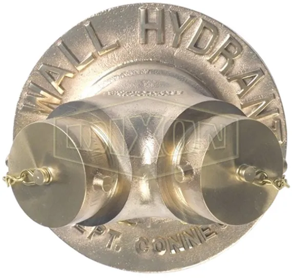 Exposed Two-Way Wall Hydrant