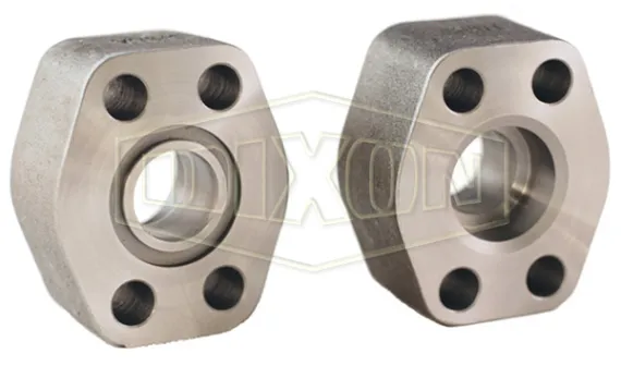Hydraulic 4-Bolt Flange Pipe Socket Weld