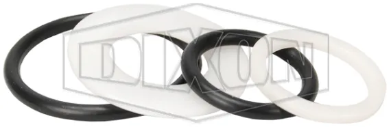 FKM-B Shaft Seal Kit for 5300B and 5400B API Couplers