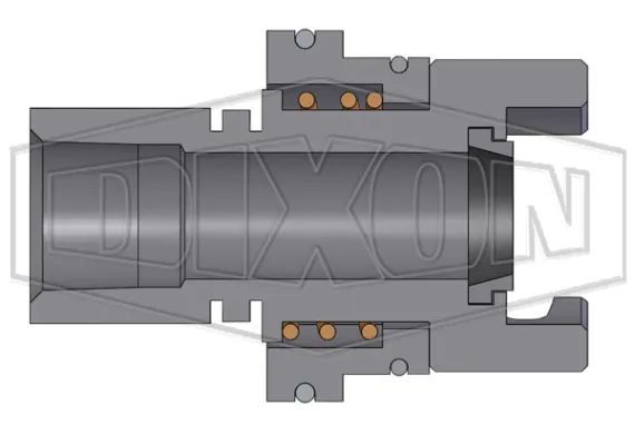 dual lock p series thor interchange female thread coupler