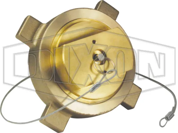 hose end coupling with 3 in female npt thread with cap and cable
