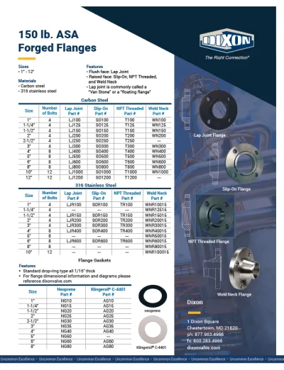150 lb ASA Forged Flanges