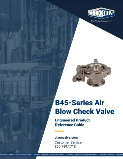 B45-Series Air Blow Check Valve
