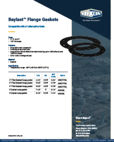 Baylast Flange Gasket