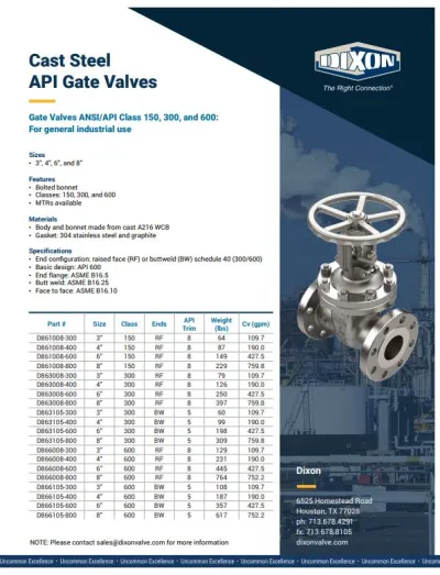 Cast Steel API Gate Valves