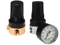 Watts Miniature Regulator