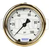 Brass Liquid Filled Center Back Mount Gauge