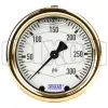 Brass Liquid Filled Center Back Mount Gauge