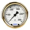 Brass Liquid Filled Center Back Mount Gauge