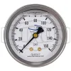 Liquid Filled Center Back Mount Stainless Case Gauge