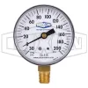 Lower Mount Compound Gauge