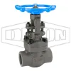 Forged Steel Gate Valve