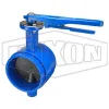 Grooved End Iron Butterfly Valve