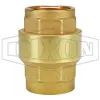 Spring-Loaded Check Valve