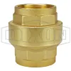 Spring-Loaded Check Valve