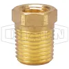 Reducer Hex Bushing