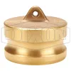 Dixon Cam & Groove Type DP Dust Plug